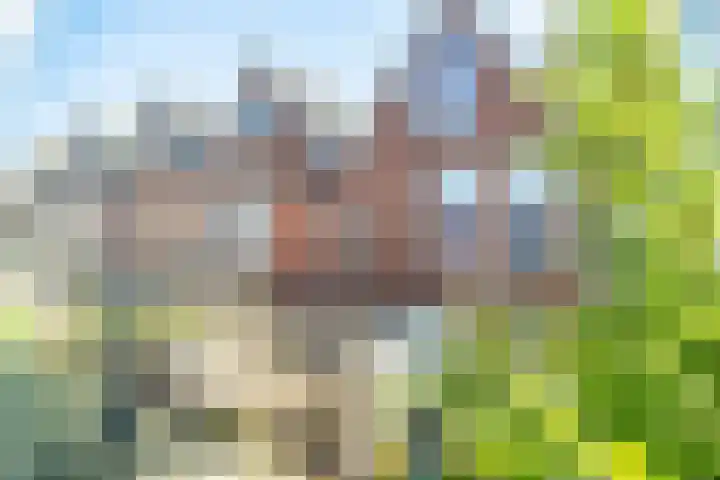 Willemstraat 33 Leiden thumbnail 36