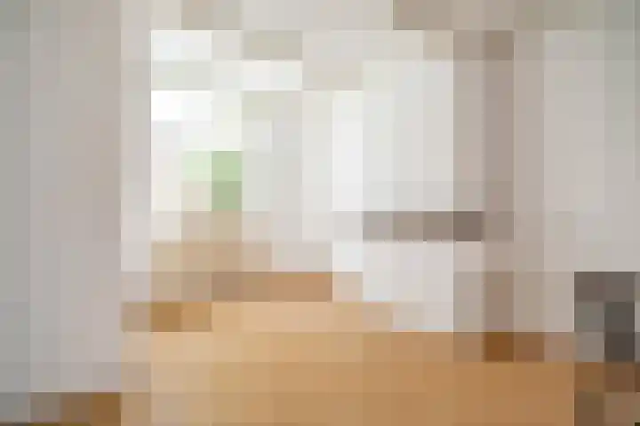 Willemstraat 33 Leiden thumbnail 8
