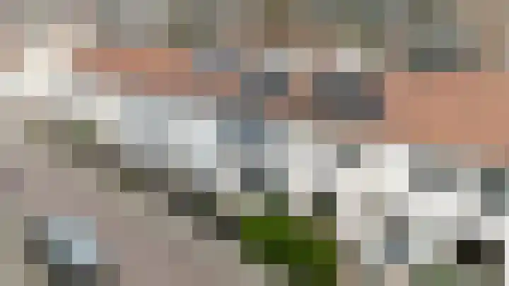 Willemstraat 34 Alphen aan den Rijn thumbnail 4