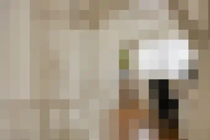 Willemstraat 34 Velp thumbnail 14