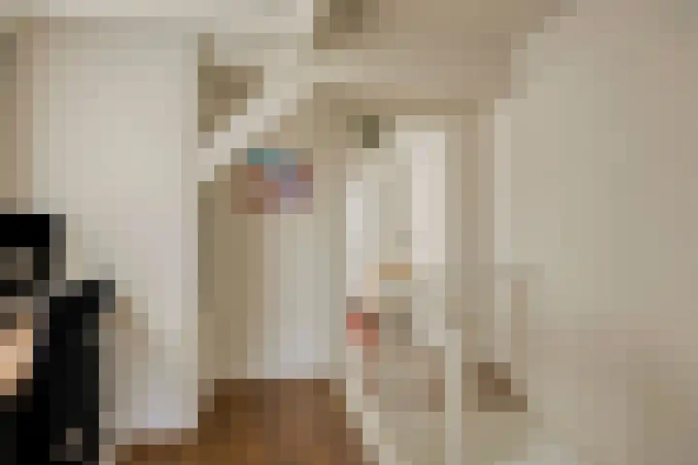 Willemstraat 34 Velp thumbnail 16