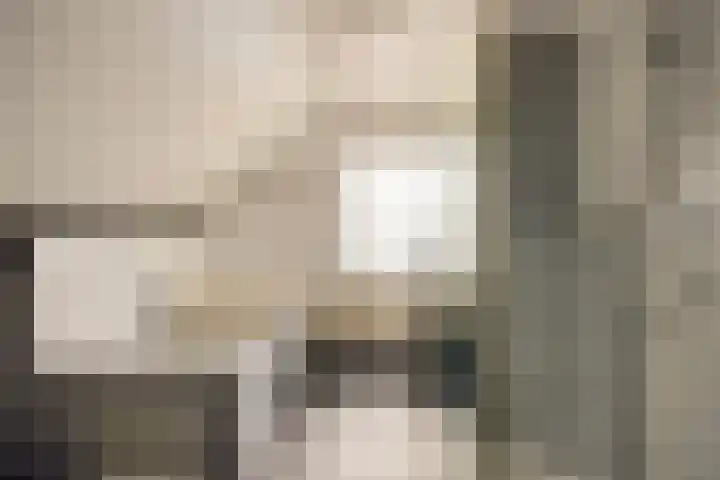 Willemstraat 34 Velp thumbnail 19