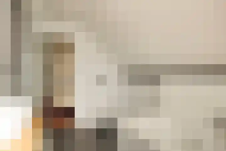 Willemstraat 34 Velp thumbnail 21