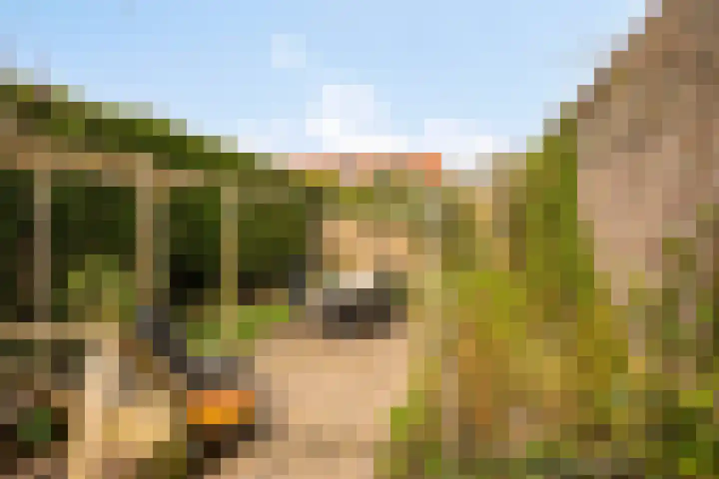 Willemstraat 34 Velp thumbnail 22