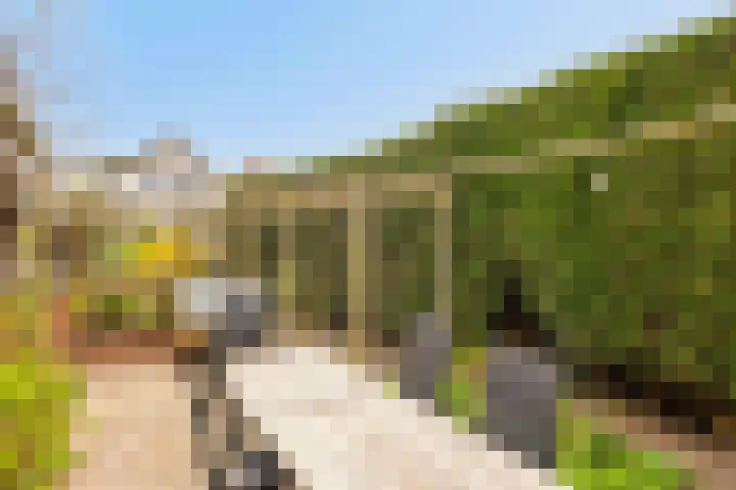 Willemstraat 34 Velp thumbnail 26