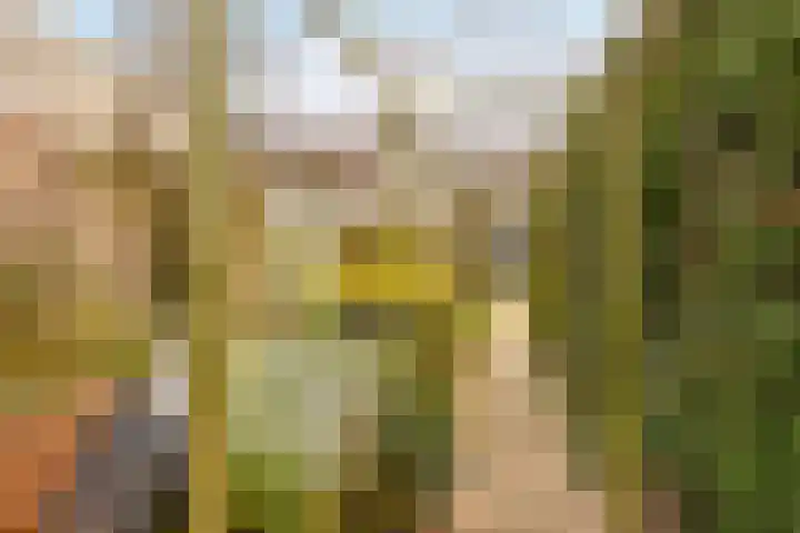 Willemstraat 34 Velp thumbnail 28