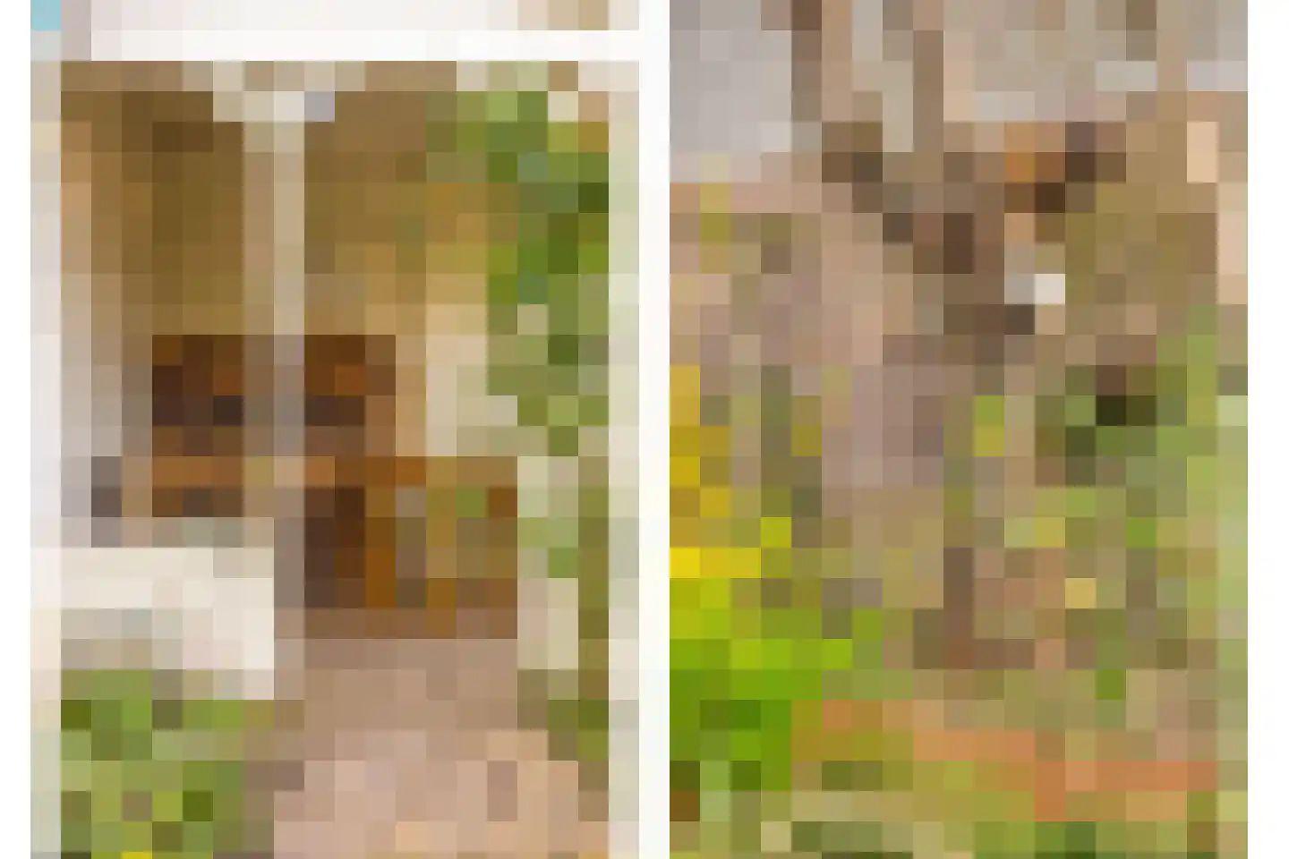 Willemstraat 34 Velp thumbnail 29