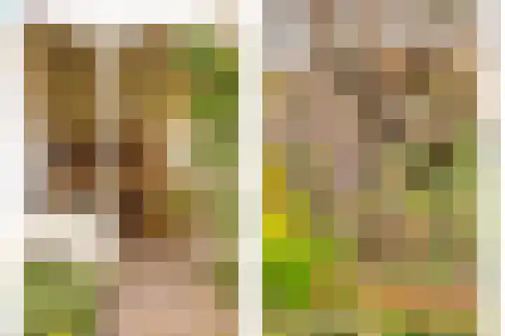 Willemstraat 34 Velp thumbnail 29