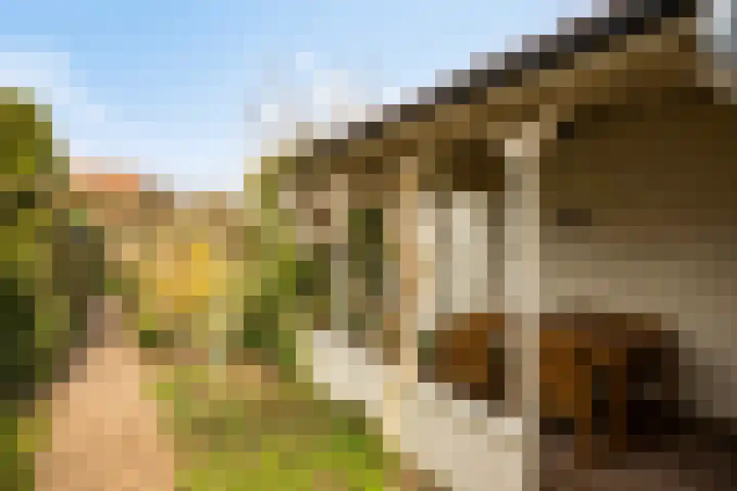Willemstraat 34 Velp thumbnail 30