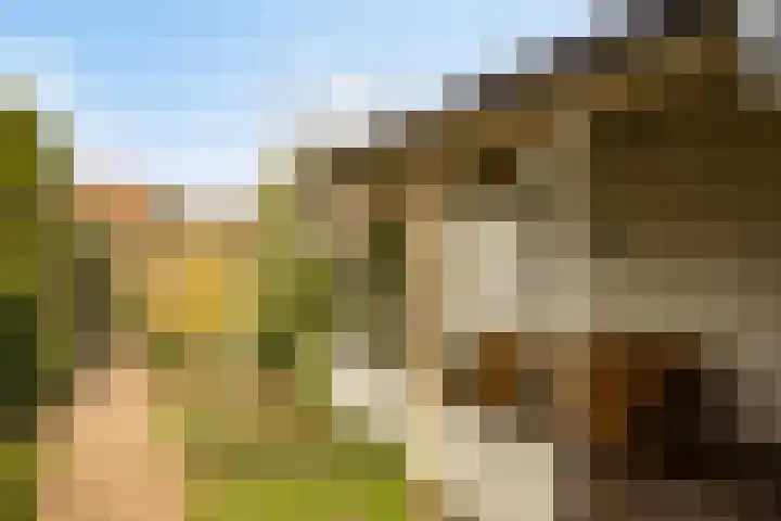 Willemstraat 34 Velp thumbnail 30