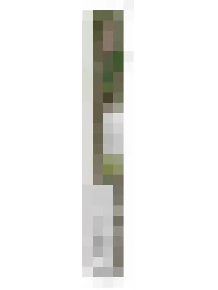 Willemstraat 34 Velp thumbnail 40