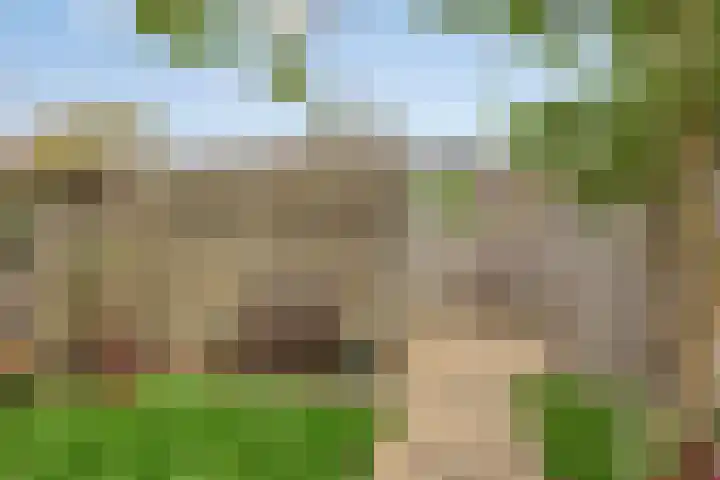 Willemstraat 34 Velp thumbnail 5