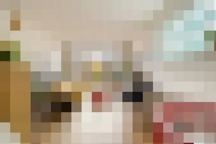 Willemstraat 34 Velp thumbnail 9