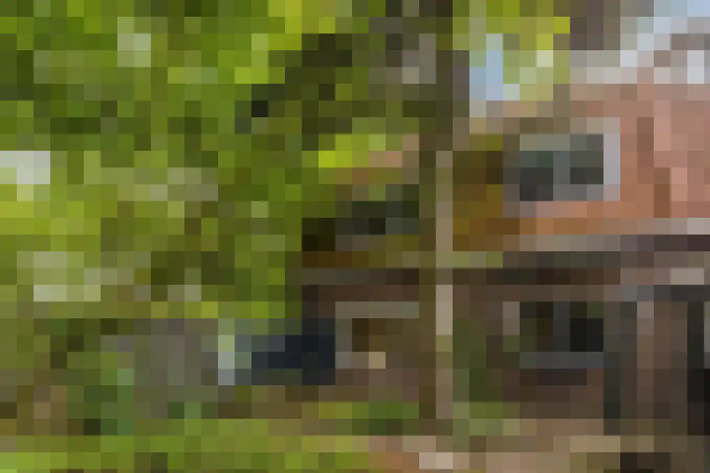 Willemstraat 34 Waalre thumbnail 18