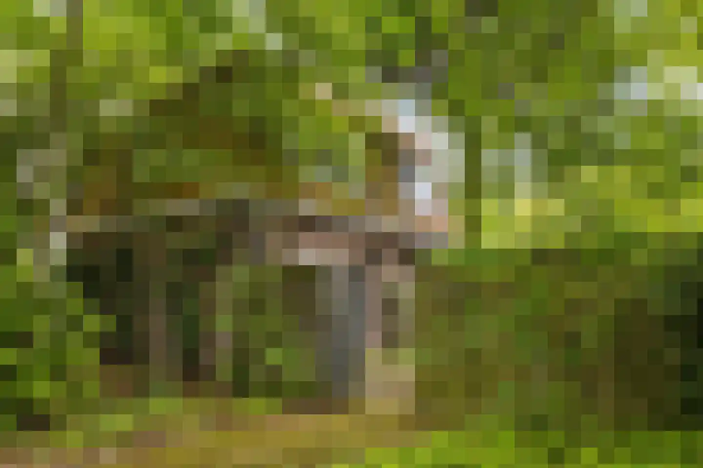 Willemstraat 34 Waalre thumbnail 19