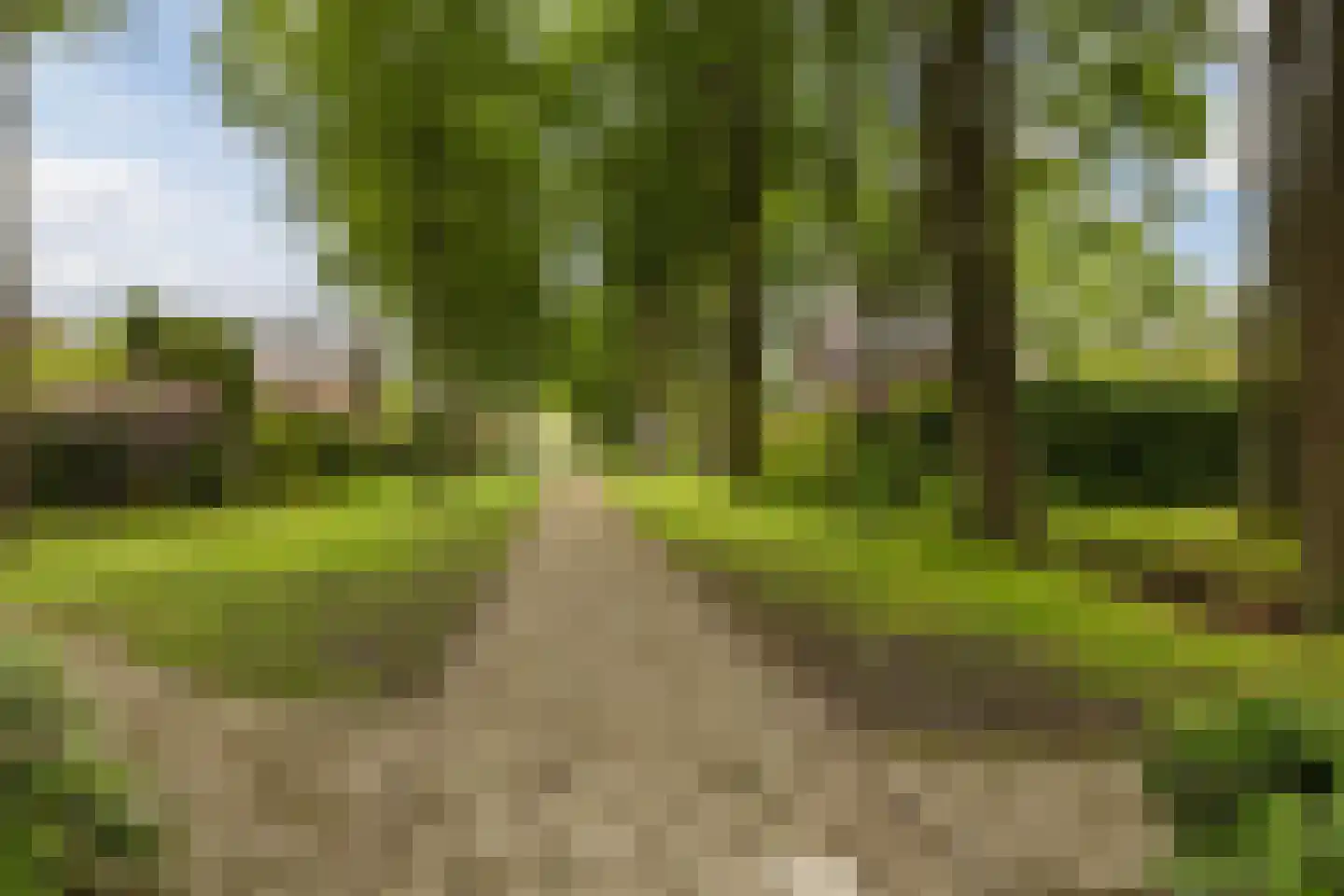Willemstraat 34 Waalre thumbnail 21