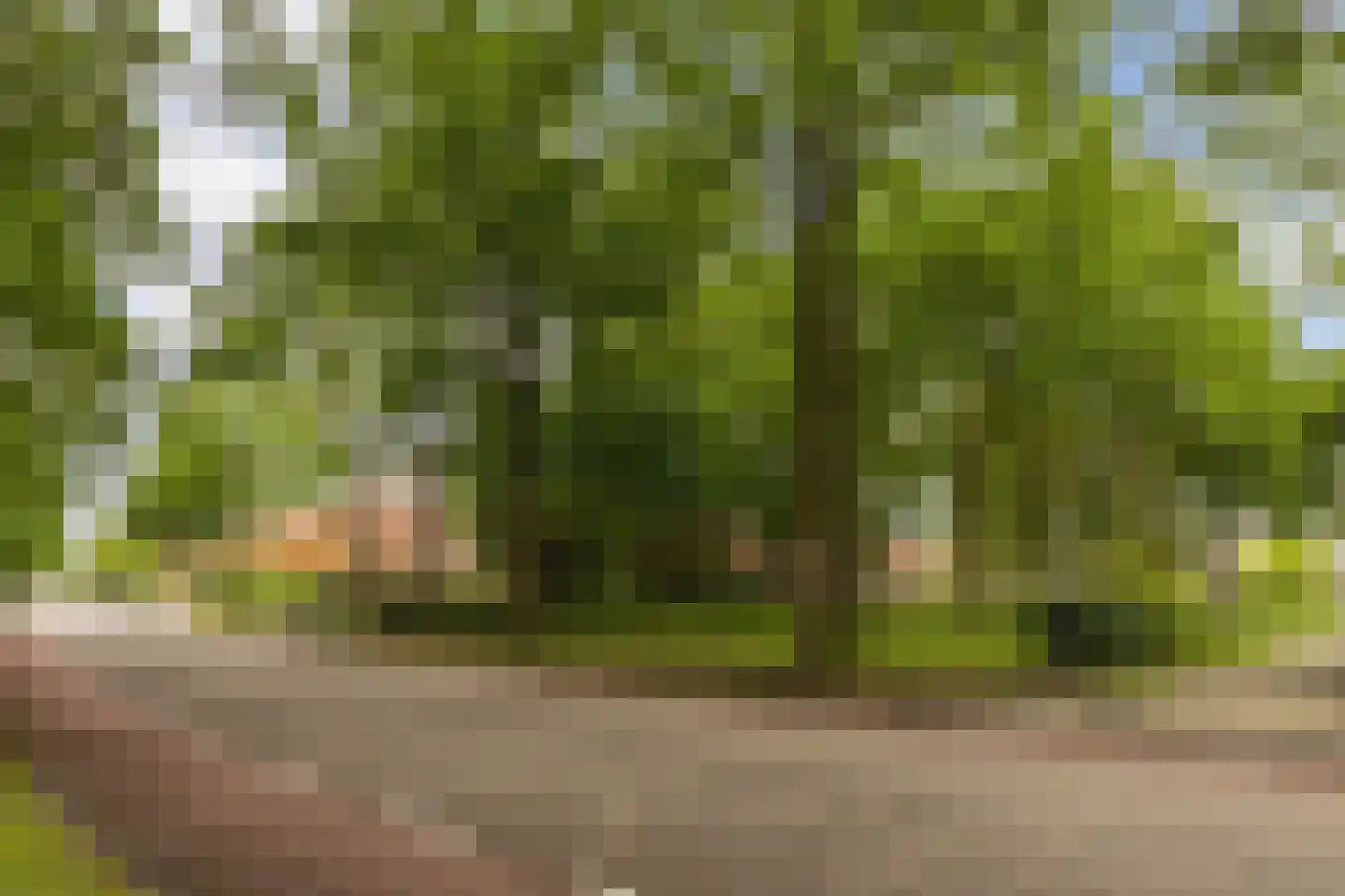 Willemstraat 34 Waalre thumbnail 22