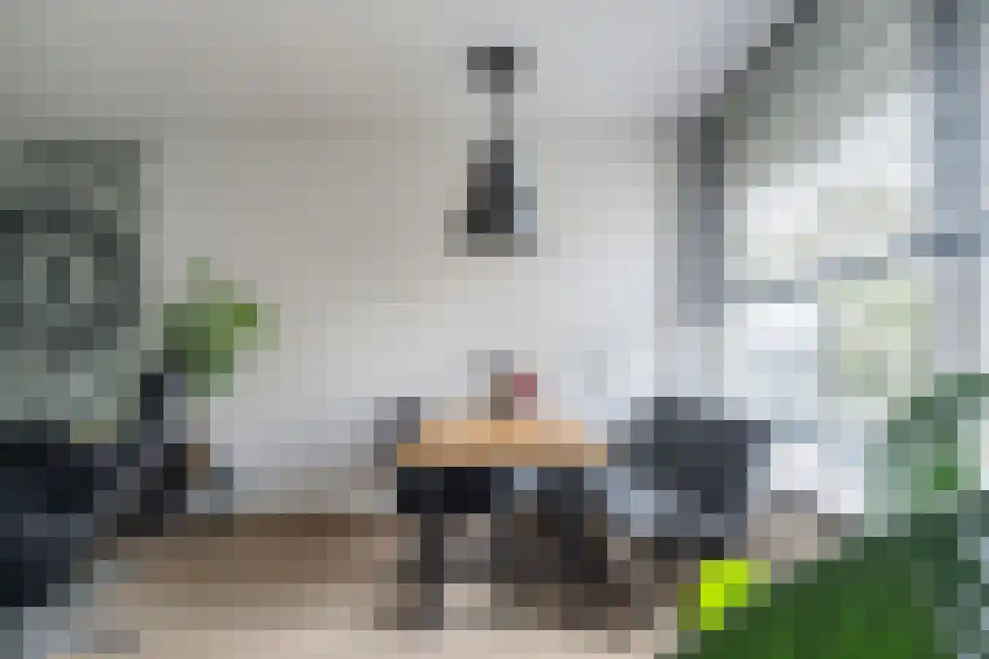 Willemstraat 38 Zoetermeer thumbnail 12