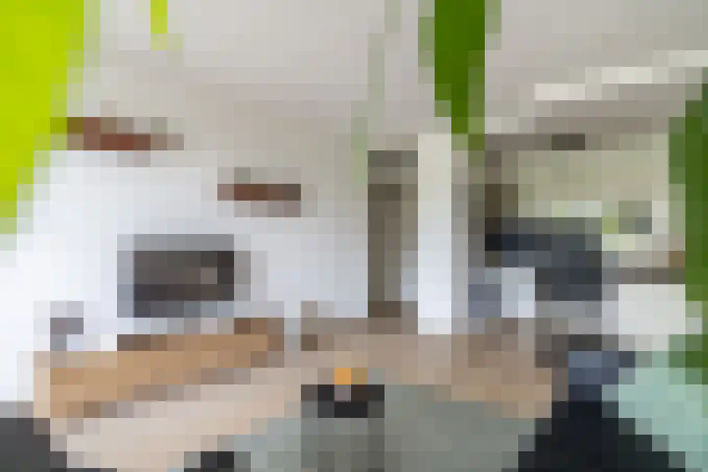 Willemstraat 38 Zoetermeer thumbnail 15