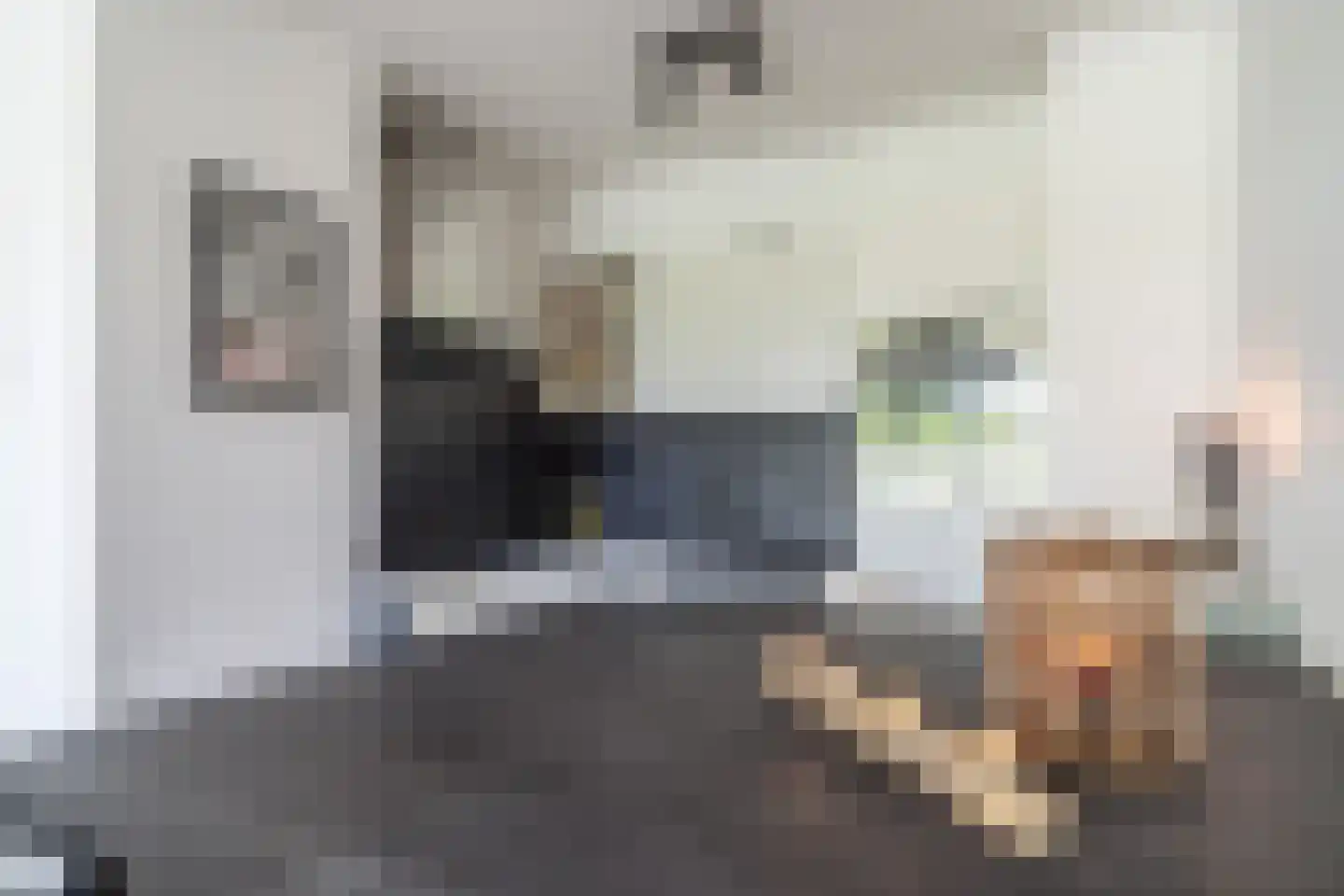 Willemstraat 38 Zoetermeer thumbnail 21