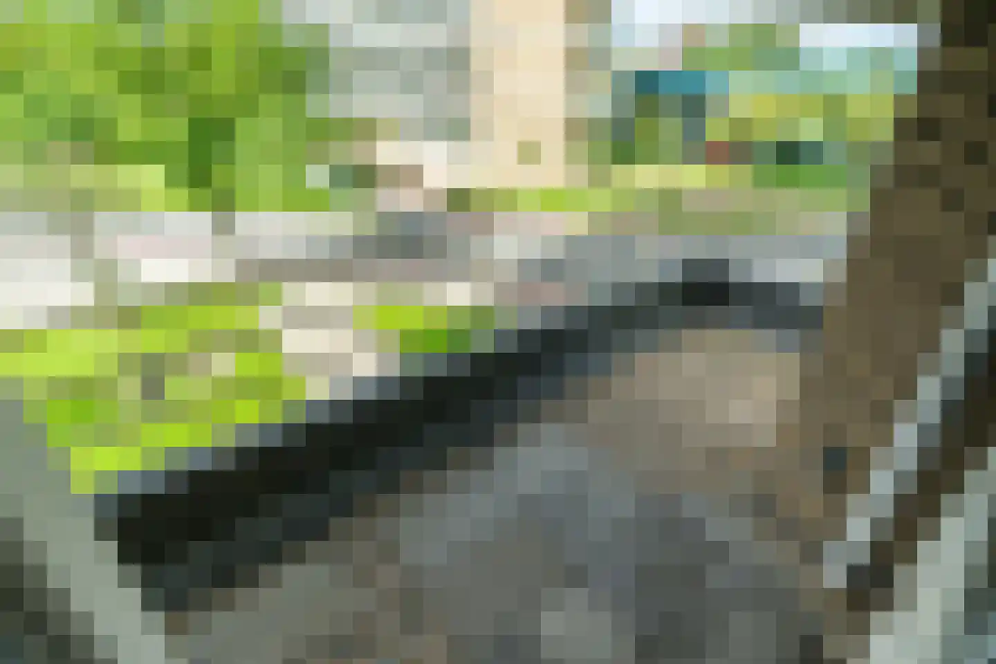 Willemstraat 38 Zoetermeer thumbnail 23