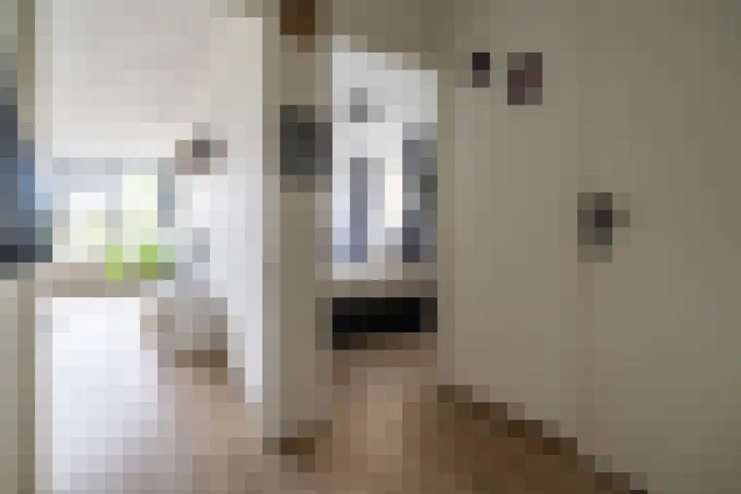 Willemstraat 38 Zoetermeer thumbnail 32