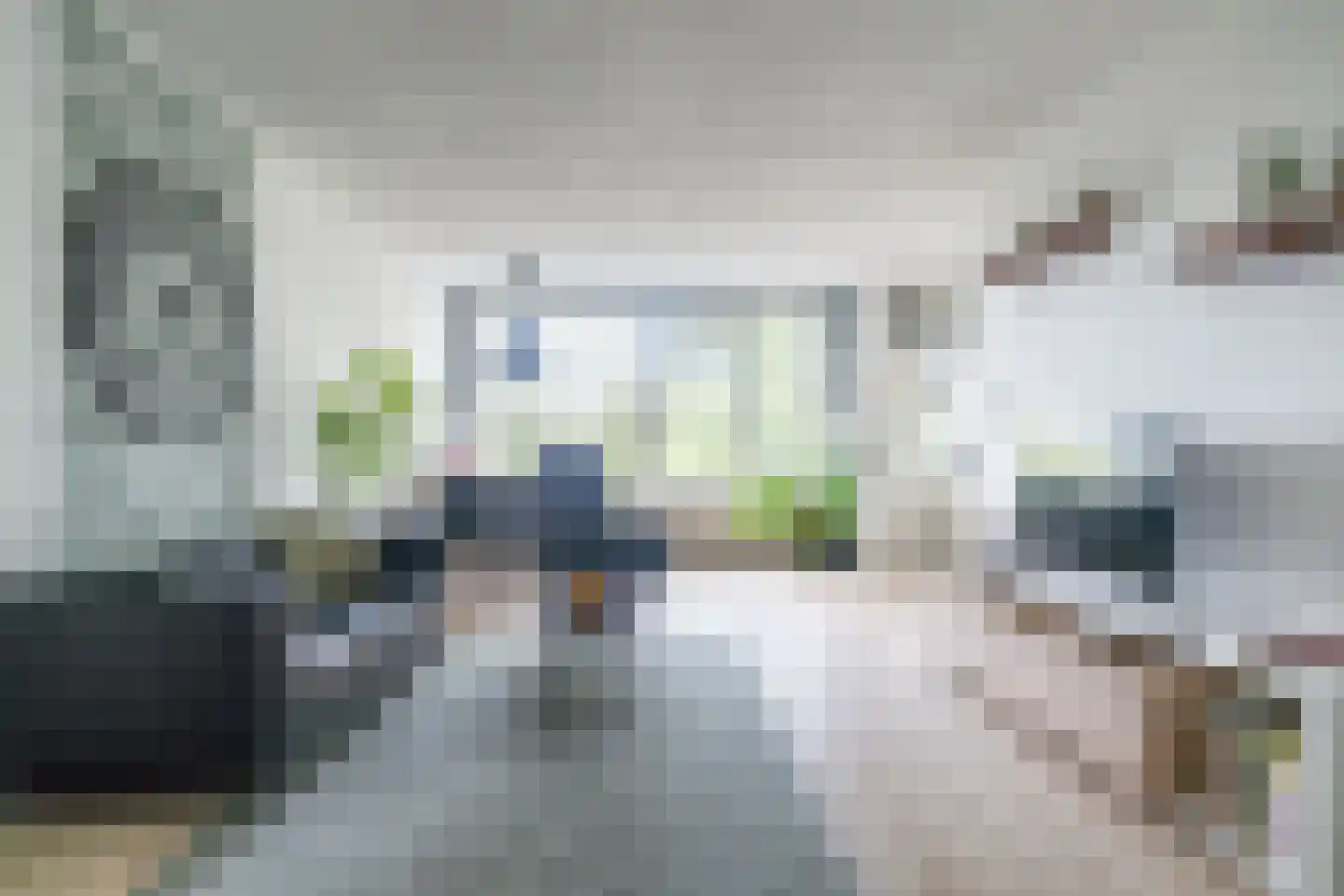 Willemstraat 38 Zoetermeer thumbnail 4