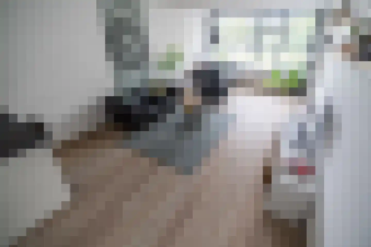Willemstraat 38 Zoetermeer thumbnail 5