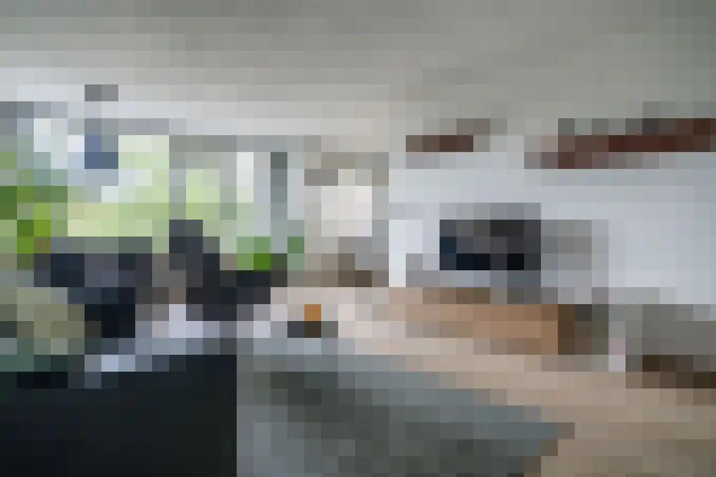 Willemstraat 38 Zoetermeer thumbnail 6