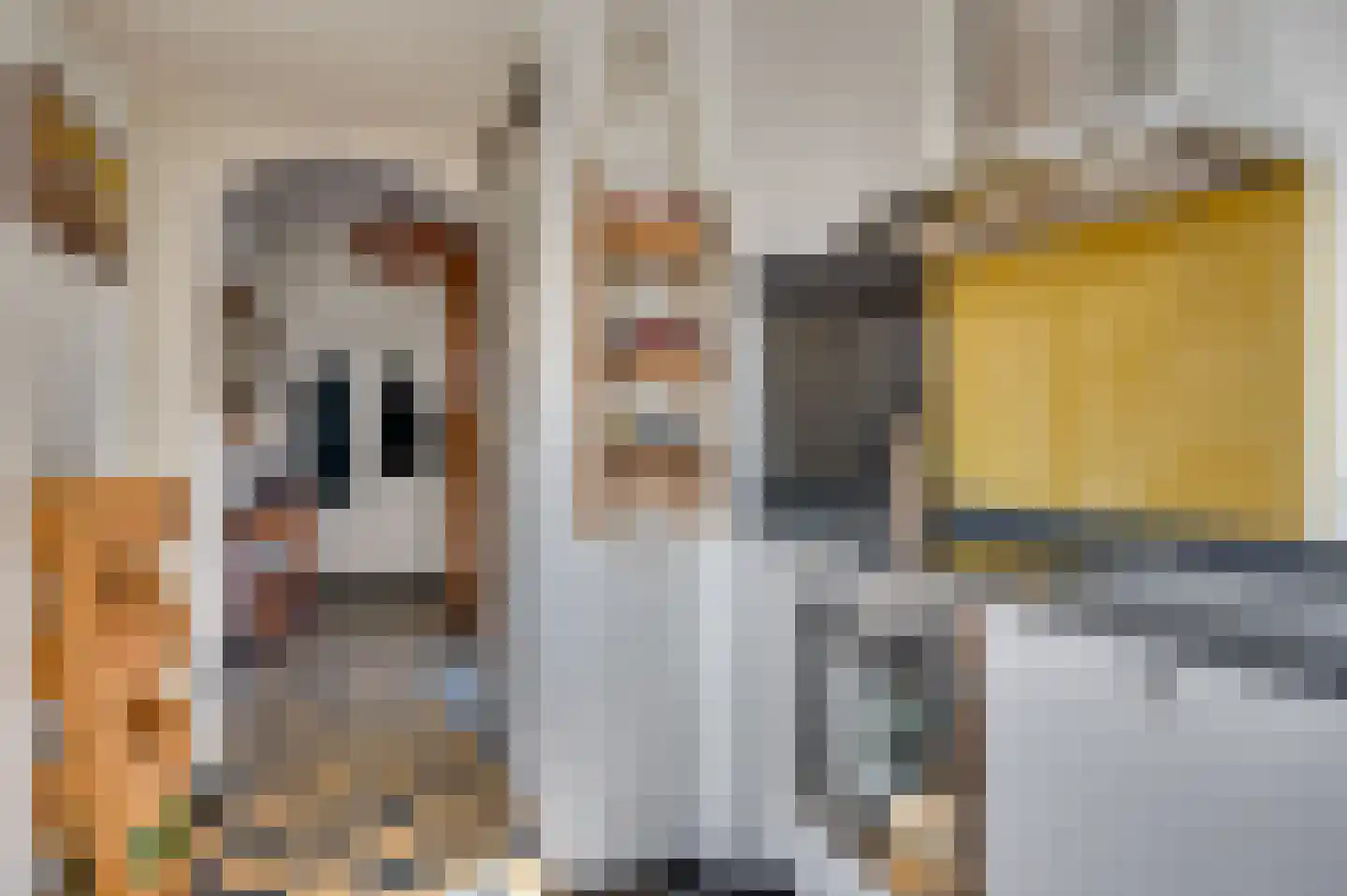 Willemstraat 39 Venlo thumbnail 17