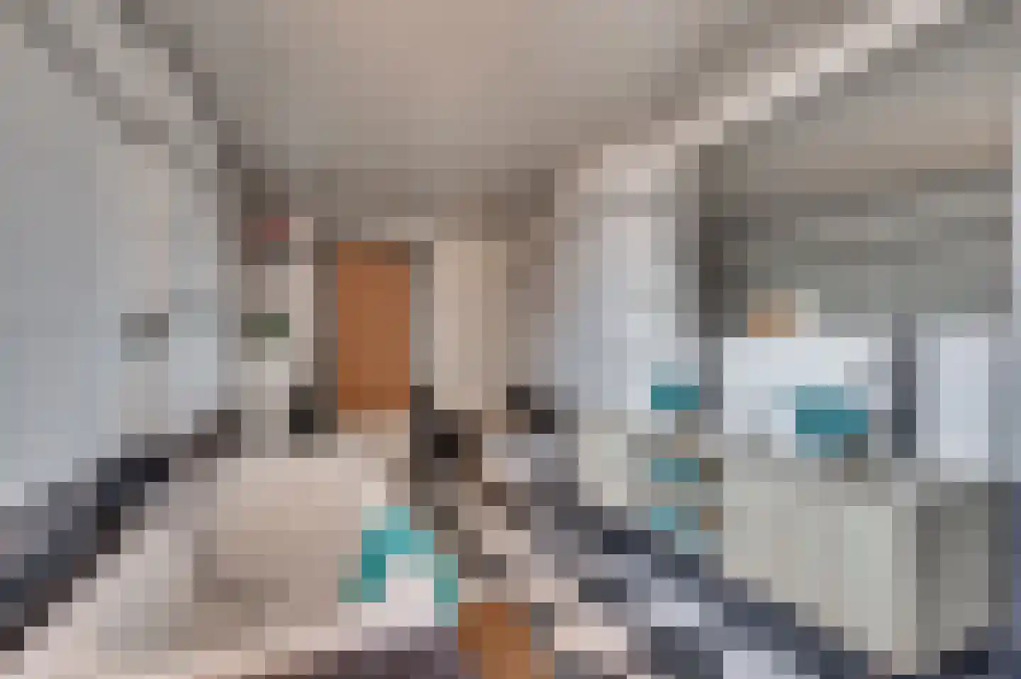Willemstraat 39 Venlo thumbnail 31