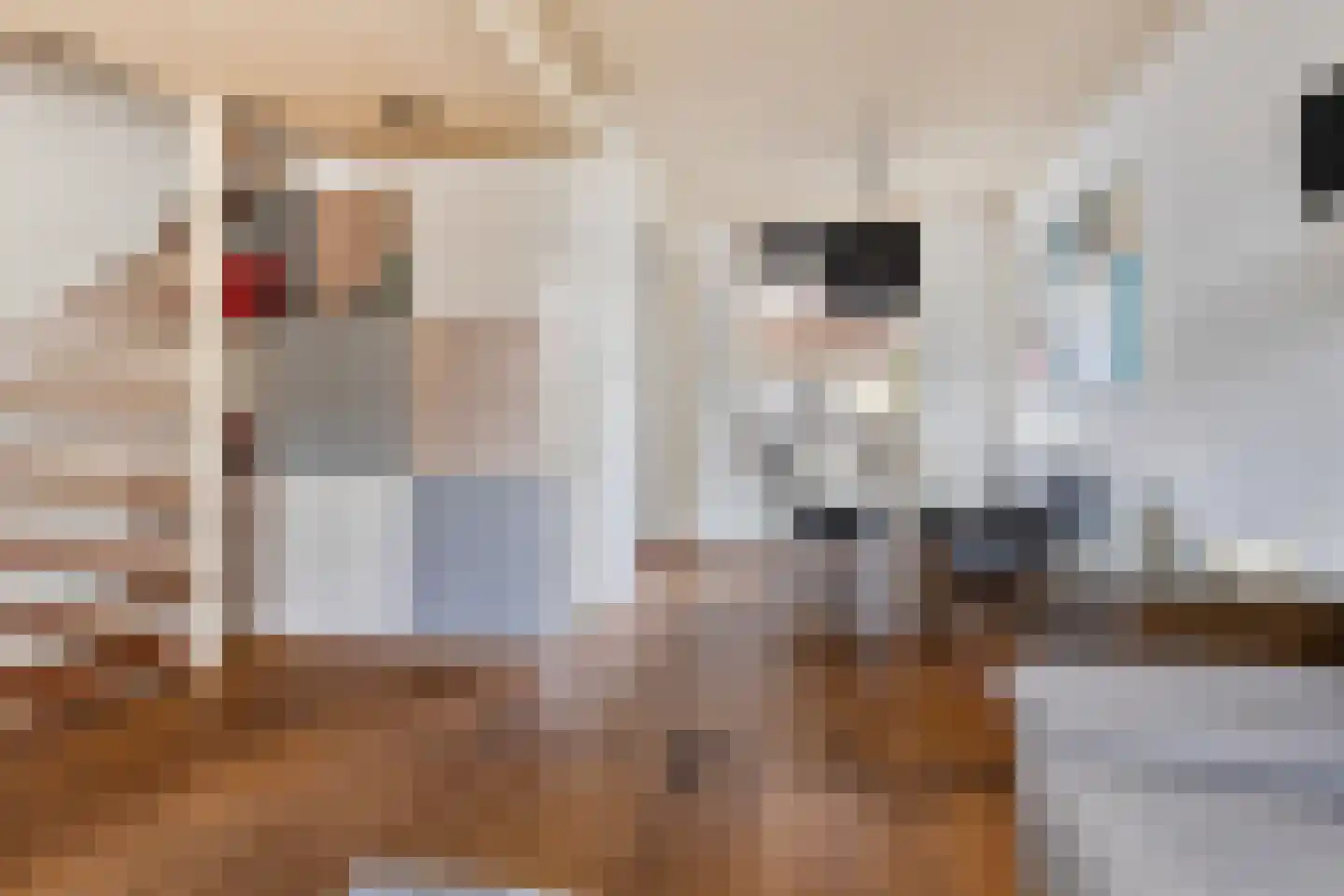 Willemstraat 4 Alphen aan den Rijn thumbnail 8