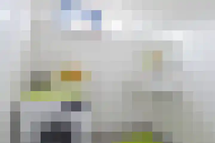 Willemstraat 4 Arnhem thumbnail 27