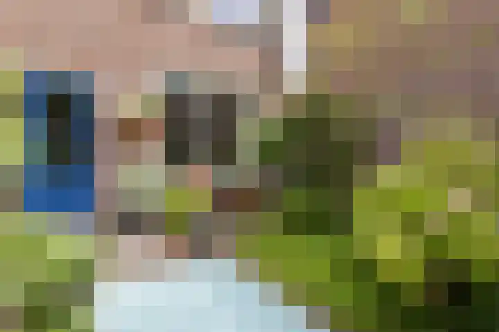 Willemstraat 4 Arnhem thumbnail 31