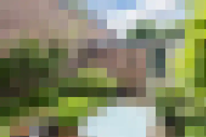 Willemstraat 4 Arnhem thumbnail 33
