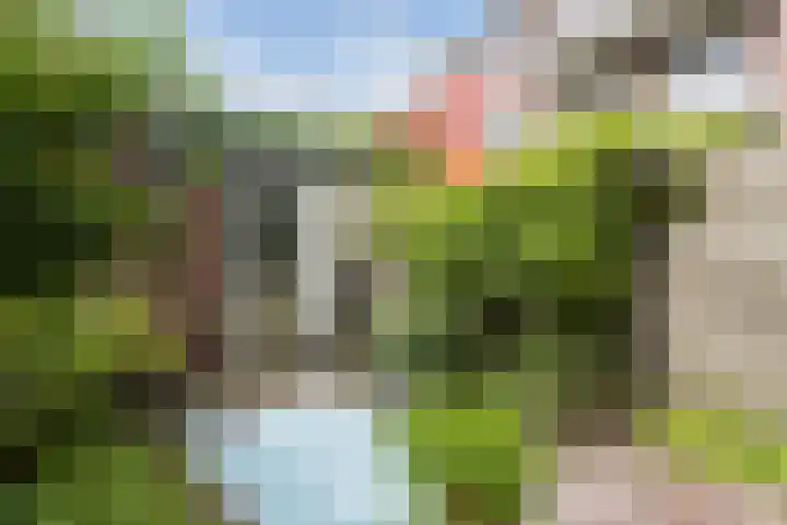 Willemstraat 4 Arnhem thumbnail 34