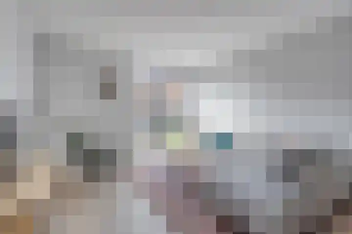 Willemstraat 42 a 2 Velp thumbnail 16