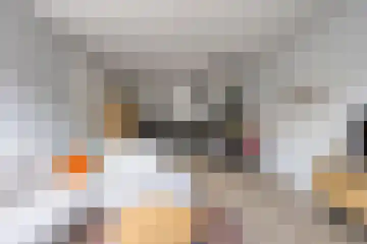 Willemstraat 42 a 2 Velp thumbnail 18