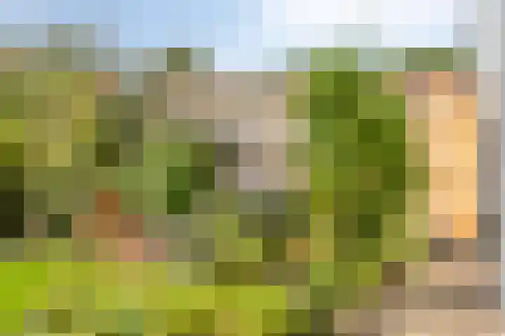 Willemstraat 42 a 2 Velp thumbnail 20