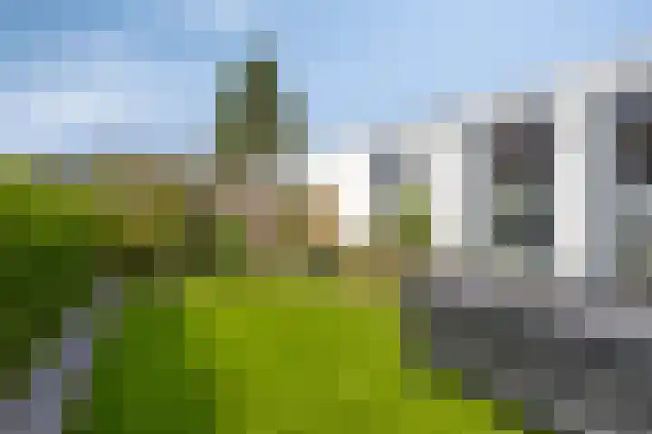 Willemstraat 42 a 2 Velp thumbnail 21