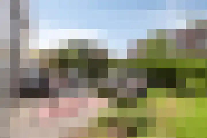 Willemstraat 42 a 2 Velp thumbnail 24