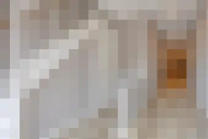 Willemstraat 42 a 2 Velp thumbnail 6