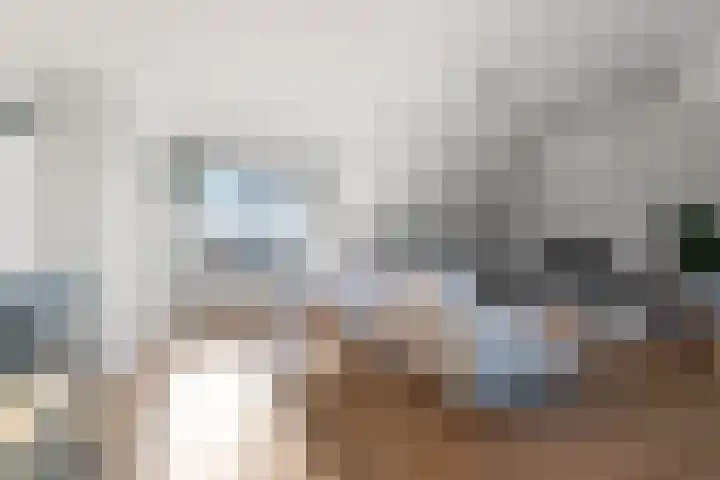 Willemstraat 42 a 9 Velp thumbnail 12