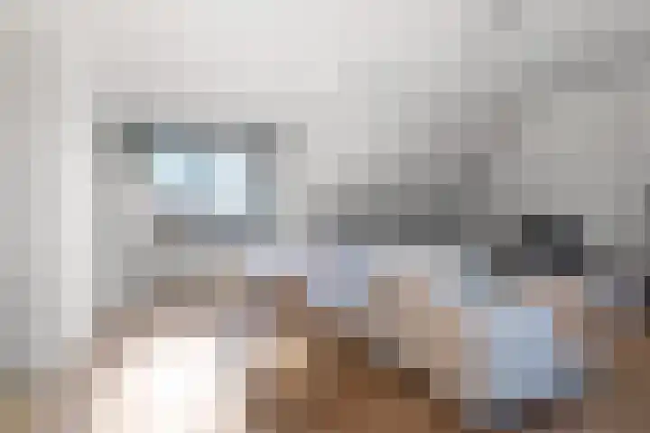 Willemstraat 42 a 9 Velp thumbnail 17