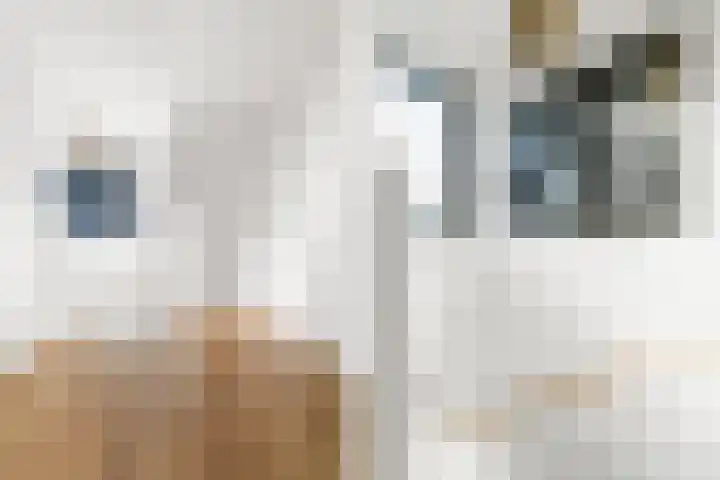 Willemstraat 42 a 9 Velp thumbnail 20