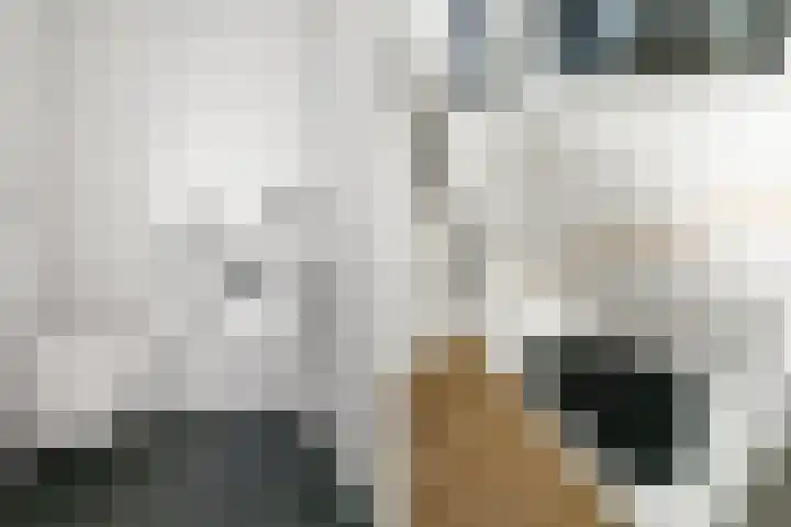 Willemstraat 42 a 9 Velp thumbnail 29