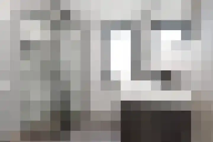 Willemstraat 42 a 9 Velp thumbnail 4