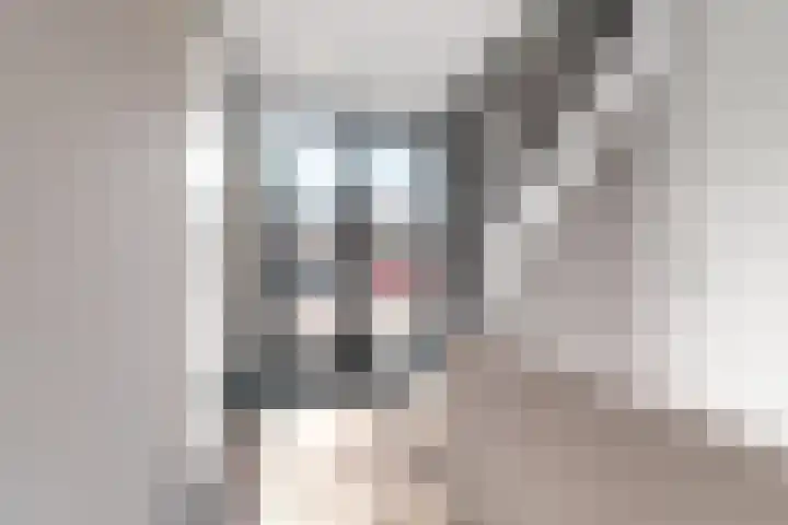 Willemstraat 42 a 9 Velp thumbnail 8