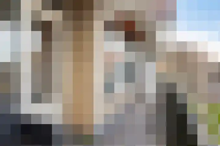 Willemstraat 42 Zoetermeer thumbnail 18