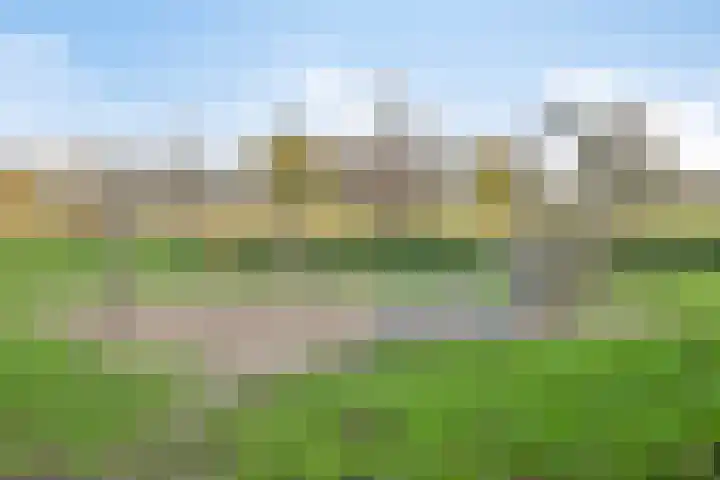 Willemstraat 42 Zoetermeer thumbnail 30